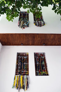 High angle view of potted plant on table