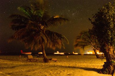 Trees on shore