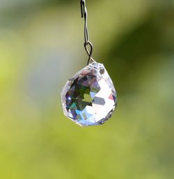 Close-up of hanging leaf