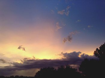 Silhouette trees against sky during sunset