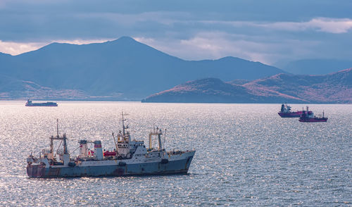 Fishing seiners and cargo ships in avacha bay in kamchatka peninsula