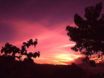 Silhouette trees against dramatic sky during sunset