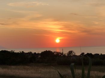 Scenic view of field against sky during sunset