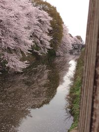 Scenic view of river against sky