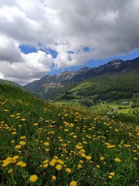 Scenic view of grassy field against cloudy sky