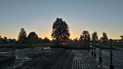 View of trees against clear sky