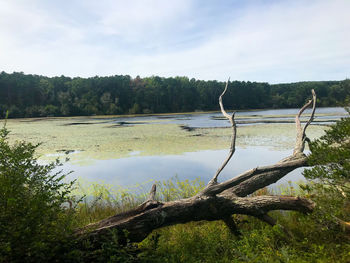 Scenic view of lake against sky
