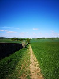 Scenic view of field against blue sky