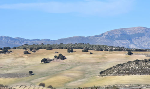 Scenic view of landscape and mountains against clear blue sky