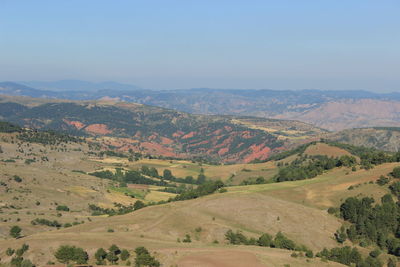 Scenic view of landscape against clear sky