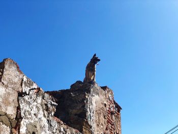 Low angle view of a horse against clear blue sky