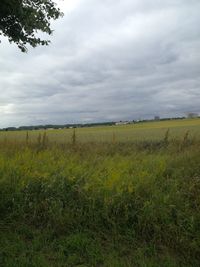 Scenic view of field against sky