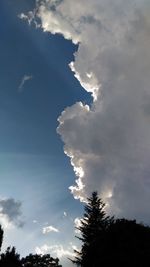 Low angle view of silhouette trees against sky