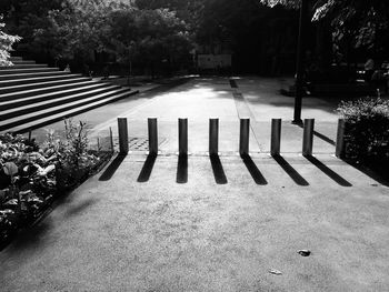 Trees in park