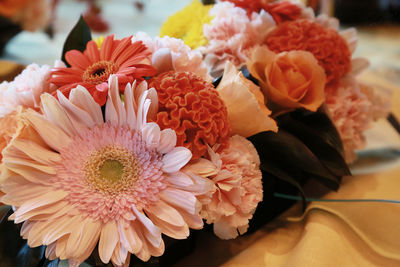 Close-up of pink flower