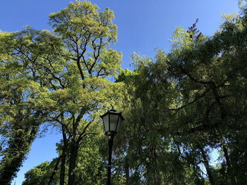 Low angle view of street light against blue sky