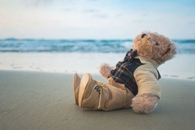 View of a dog on beach
