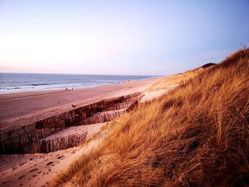 Scenic view of beach against clear sky