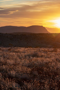 Scenic view of field against sky during sunset