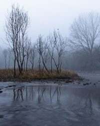 Bare trees by lake against sky