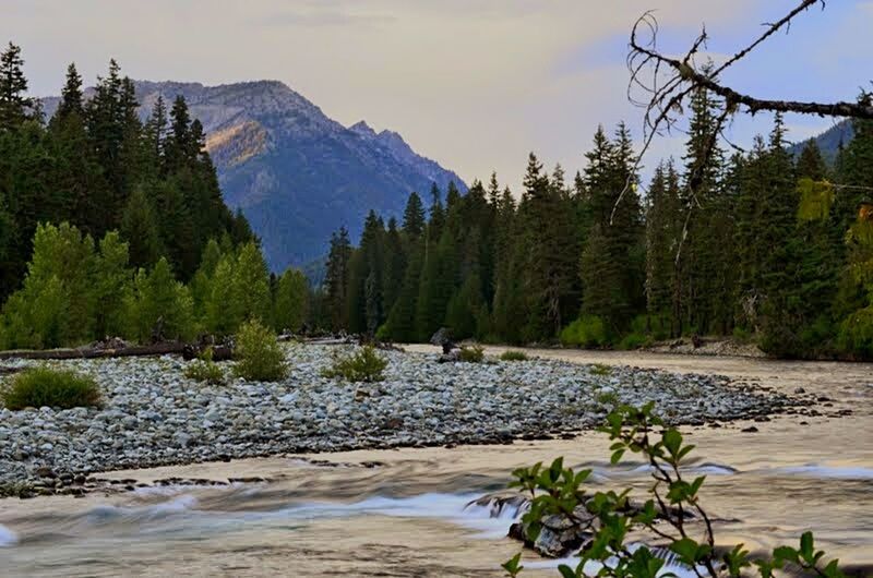 Salmon La Sac Campground