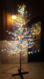 Firework display at night