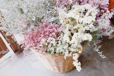 High angle view of flowering plant on table