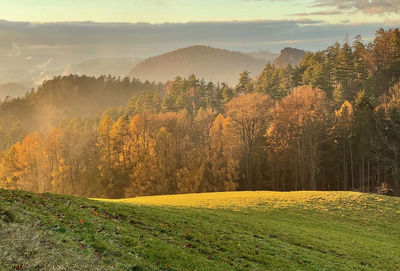 Scenic view of landscape against sky during autumn