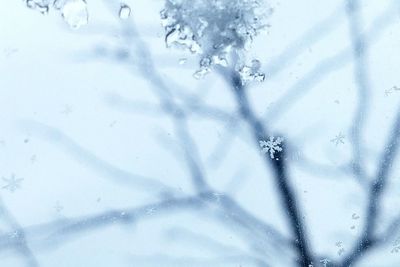 Close-up of frozen water