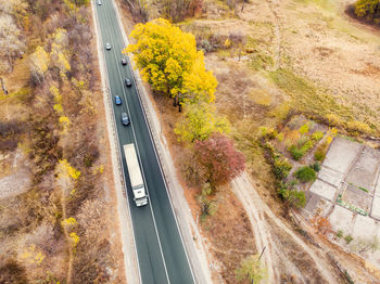 High angle view of road amidst plants in city during autumn