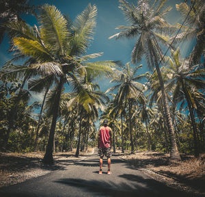 Rear view of woman walking on palm trees