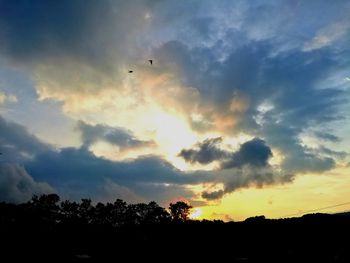 Low angle view of silhouette trees against dramatic sky