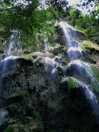 Scenic view of waterfall in forest