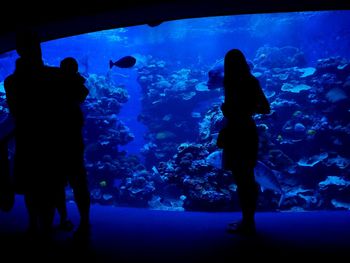 Underwater view of hands in aquarium
