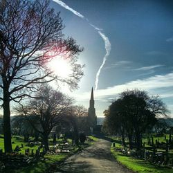 Sun shining through trees in park