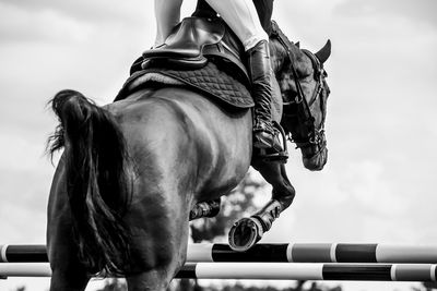 Horse jumping, equestrian sports, show jumping competition themed photograph.