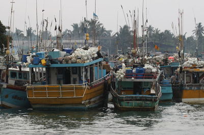 Fishing boats in harbor
