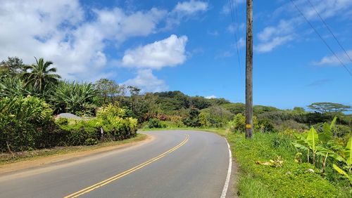 Road by trees against sky