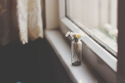 Close-up of white flower vase on table