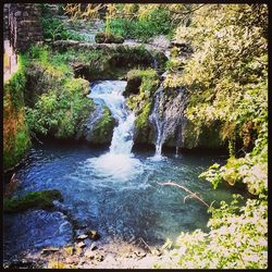 River flowing through rocks in forest