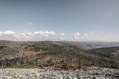 Scenic view of landscape against sky