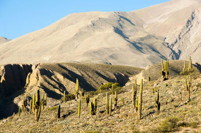 Panoramic view of landscape and mountains against sky