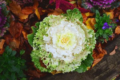 High angle view of rose bouquet
