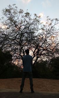 Rear view of silhouette man standing against trees