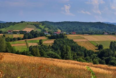 Scenic view of agricultural field against sky