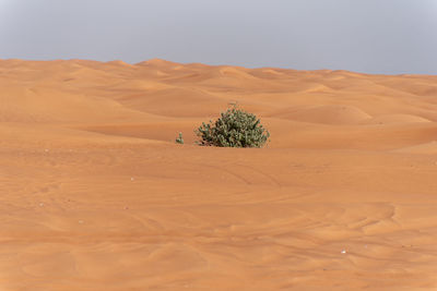 Scenic view of desert against sky