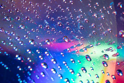 Close-up of water drops on multi colored lights