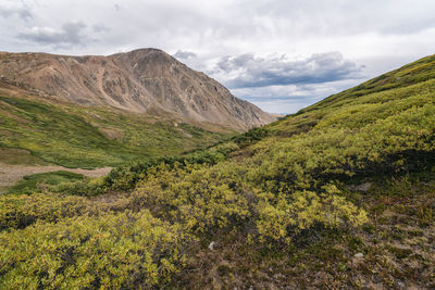 Landscape in the rocky mountains, colorado