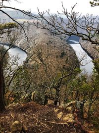 Scenic view of river in forest against sky