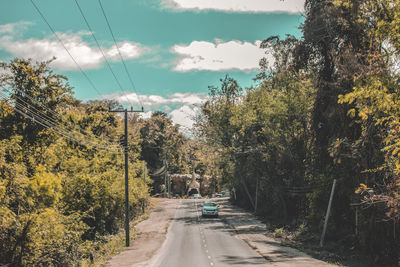 Road amidst trees against sky